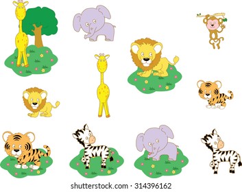 zoo animal