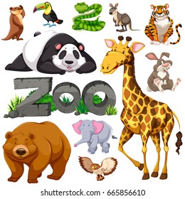 Zoo animal collection