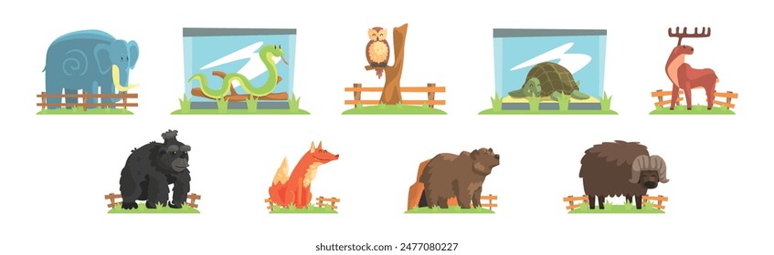 Zoo Animal and Wild Fauna Behind Fence Vector Set