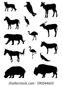 Zoo animals