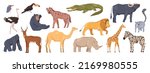 Zoo animals, African wildlife park fauna. Giraffe and lion, buffalo and gorilla, rhino and zebra, ostrich and crocodile. Mammals and birds. Flat cartoon, vector illustration