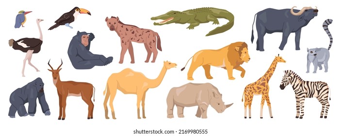Zoo animals, African wildlife park fauna. Giraffe and lion, buffalo and gorilla, rhino and zebra, ostrich and crocodile. Mammals and birds. Flat cartoon, vector illustration - Shutterstock ID 2169980555