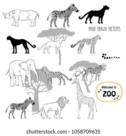 Fondo de animales zoológicos. Montaje dibujado a mano. Ilustración vectorial