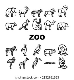 Zoo Animals, Birds And Snake Icons Set Vector. Tiger And Elephant, Bear And Panda, Zebra And Kangaroo, Toucan And Eagle, Crocodile And Giraffe Zoo Animals Black Contour Illustrations