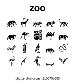 Zoo Animals, Birds And Snakes Icons Set Vector. Exotic Tiger And Elephant, Deer And Kangaroo, Camel And Panda Bear, Zebra And Monkey In Zoo. Flamingo And Penguin Glyph Pictograms Black Illustrations