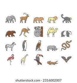 Zoo Animals, Birds And Snakes Icons Set Vector. Exotic Tiger And Elephant, Deer And Kangaroo, Camel And Panda Bear, Zebra And Monkey In Zoo Line. Flamingo And Penguin Color Illustrations