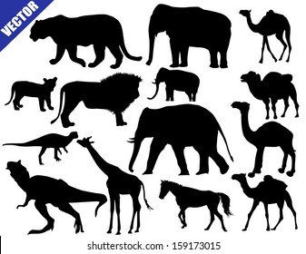 Zoo animals collection on white background, vector illustration