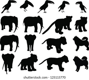 Zoo animals collection - set of vector silhouettes including elephant,  tiger cub, toucan, Eskimo dog