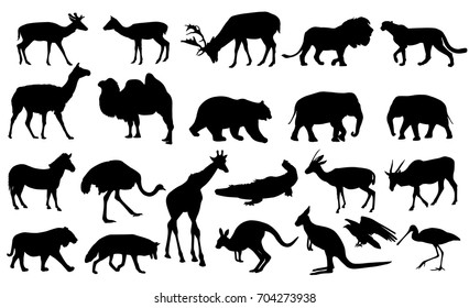 zoo animals collection - vector