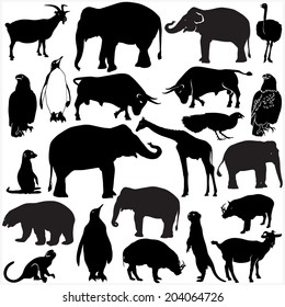 Zoo Animals Collection - Vector Silhouette 