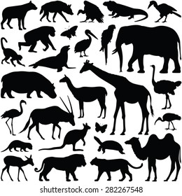 Colección de animales zoológicos - silueta vectorial