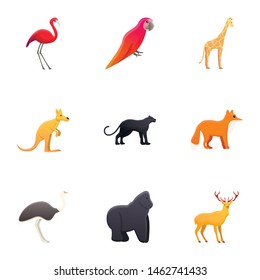 Zoo animals icon set. Cartoon set of 9 zoo animals vector icons for web design isolated on white background