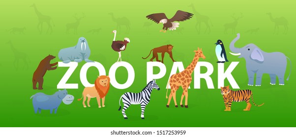 Zoo animals on green background with silhouettes. Animals in different poses. Bear, walrus, hippo, lion, ostrich, zebra, monkey, eagle, giraffe, penguin, elephant, tiger. Wild beasts. Flat Vector