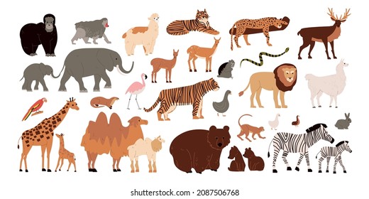 Zoo animals set with wild mammals and birds flat isolated vector illustration