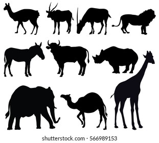 Zoo Animals Vector Silhouette Collection Stock Vector (Royalty Free ...