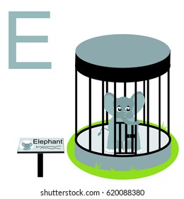 zoo caged elephant