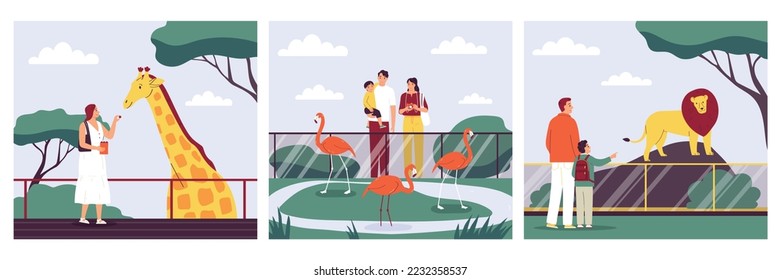 Zoo compositions set with people feeding giraffe looking at lion and flamingoes flat isolated vector illustration