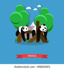 Zoo concept banner. Two panda bears taking a rest. Vector illustration in flat style design.