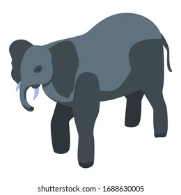 Zoo elephant icon. Isometric of zoo elephant vector icon for web design isolated on white background