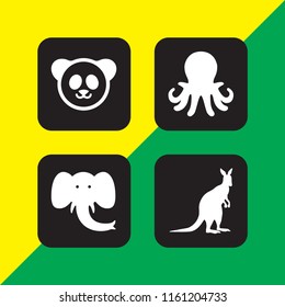 zoo icon. 4 zoo set with elephant, kangaroo, panda and animal vector icons for web and mobile app