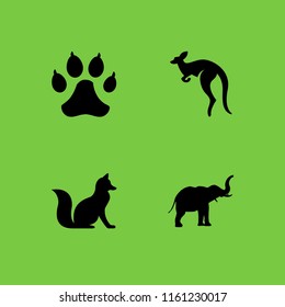 zoo icon. 4 zoo set with kangaroo, animal, elephant and wolf vector icons for web and mobile app