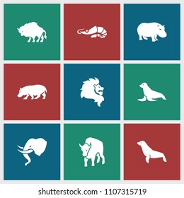 Zoo icon. collection of 9 zoo filled icons such as hippopotamus, seal, alligator, lion, buffalo. editable zoo icons for web and mobile.