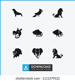 Zoo icon. collection of 9 zoo filled icons such as lion, buffalo, seal, hippopotamus, parrot. editable zoo icons for web and mobile.