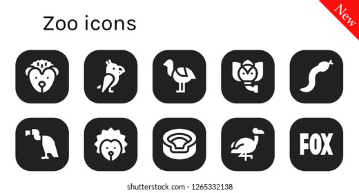  zoo icon set. 10 filled zoo icons. Simple modern icons about  - Hedgehog, Parrot, Ostrich, Elephant, Snake, Vulture, Animal, Flamingo, Fox