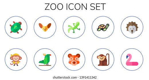 zoo icon set. 10 flat zoo icons.  Simple modern icons about  - tortoise, monkey, fennec, parrot, lizard, racoon, hedgehog, flamingo