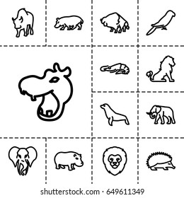 Zoo icon. set of 13 outline zoo icons such as lion, hippopotamus, alligator, hedgehog, buffalo, elephant, parrot