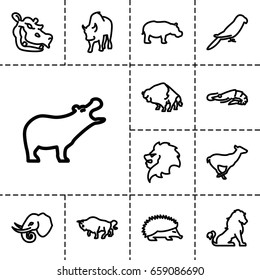 Zoo icon. set of 13 outline zooicons such as lion, alligator, hippopotamus, hedgehog, buffalo, antelope, parrot