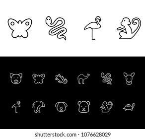 Zoo icon set and camel with bear, puppy and snake. Hump related zoo icon vector for web UI logo design.