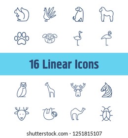 Zoo icon set and camel with zebra, squirrel and giraffe. Exotic bird related zoo icon vector for web UI logo design.