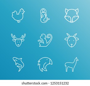 Zoo icon set and chicken with shark, monkey and falcon. Antelope related zoo icon vector for web UI logo design.