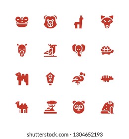 zoo icon set. Collection of 16 filled zoo icons included Frog, Panda, Savannah, Camel, Armadillo, Flamingo, Aviary, Tortoise, Elephant, Parrot, Wolf, Alpaca, Bear