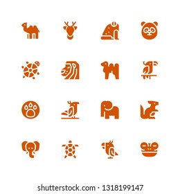 zoo icon set. Collection of 16 filled zoo icons included Frog, Parrot, Tortoise, Elephant, Kangaroo, Animal, Camel, Lion, Panda, Deer