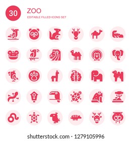 zoo icon set. Collection of 30 filled zoo icons included Parrot, Panda, Kangaroo, Deer, Camel, Frog, Lion, Hedgehog, Animal, Alpaca, Peacock, Elephant, Lizard, Aviary, Toucan