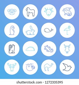 Zoo icon set and cow with gorilla, moose and penguin. Deer related zoo icon vector for web UI logo design.