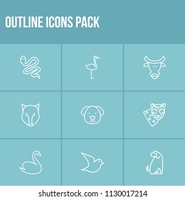 Zoo icon set and snake with bull, dog and swan. Sparrow related zoo icon vector for web UI logo design.