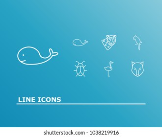 Zoo icon set and stork with parrot, whale and wolf. Cheetah related zoo icon vector items for web UI logo design.