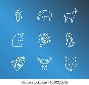 Zoo icon set and unicorn with peacock, mermaid and lama. Husky related zoo icon vector items for web UI logo design.