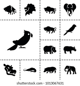 Zoo icons. set of 13 editable filled zoo icons such as alligator, lion, buffalo, elephant, parrot