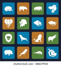 zoo icons set. Set of 16 zoo filled icons such as lion, hippopotamus, alligator, hedgehog, buffalo, parrot, elephant