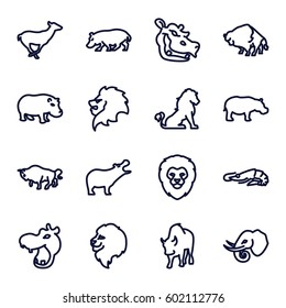 zoo icons set. Set of 16 zoo outline icons such as lion, hippopotamus, alligator, buffalo, antelope