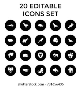 Zoo icons. set of 20 editable filled zoo icons such as lion, alligator, hedgehog, buffalo, parrot, elephant, seal, hippopotamus. best quality zoo elements in trendy style.
