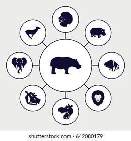 Zoo icons set. set of 9 zoo filled icons such as hippopotamus, lion, buffalo, antelope