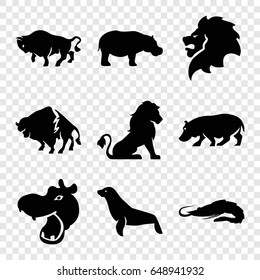 Zoo icons set. set of 9 zoo filled icons such as lion, hippopotamus, alligator, buffalo