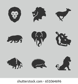 Zoo icons set. set of 9 zoo filled icons such as lion, hedgehog, buffalo, antelope, hippopotamus