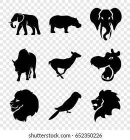 Zoo icons set. set of 9 zoo filled icons such as hippopotamus, lion, elephant, antelope, parrot