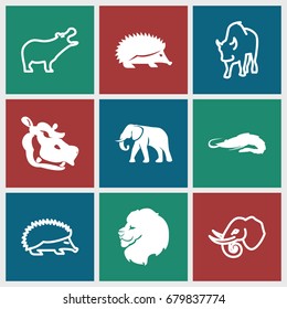 Zoo icons set. set of 9 zoo filled and outline icons such as lion, alligator, hedgehog, elephant, hippopotamus